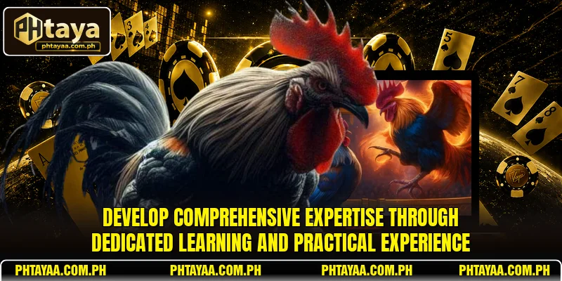 Develop comprehensive expertise through dedicated learning and practical experience