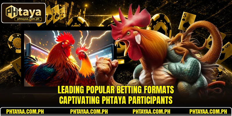 Leading popular betting formats captivating PHTAYA participants