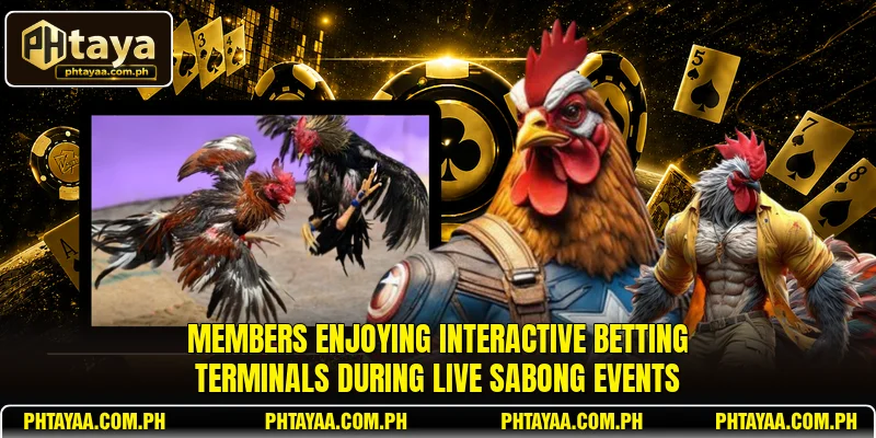 Members enjoying interactive betting terminals during live sabong events