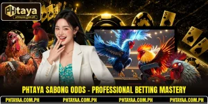 PHTAYA Sabong Odds