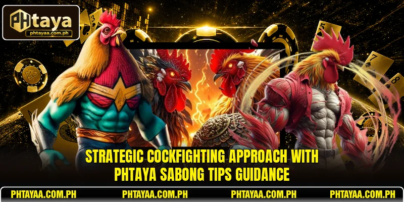 Strategic cockfighting approach with PHTAYA sabong tips guidance